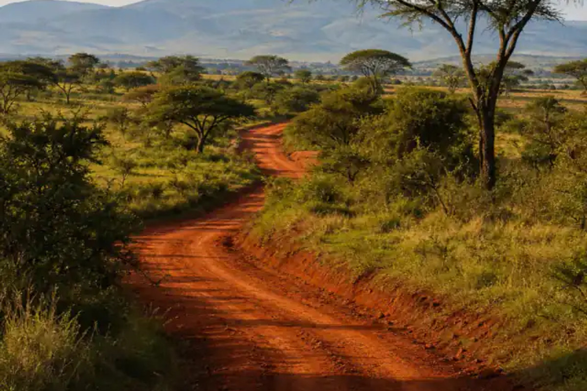 Red dirt road through acacia vegetation and Rift Valley highland terrain