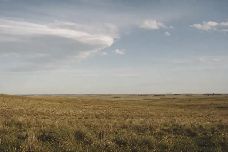 Rural Argentina — honest low-evidence result, country level only